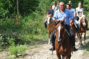 Cavallo Parco Monti Sibillini