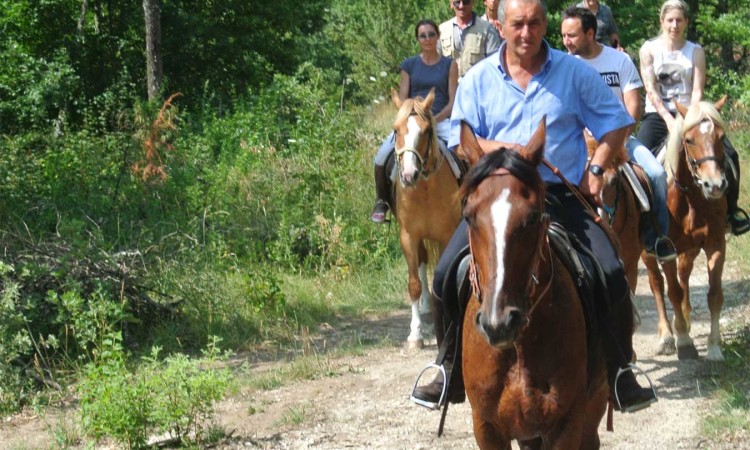 Cavallo Parco Monti Sibillini