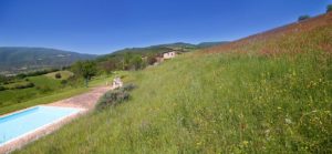 Preci Agriturismo Umbria