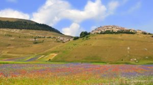 Umbria Castelluccio Norcia
