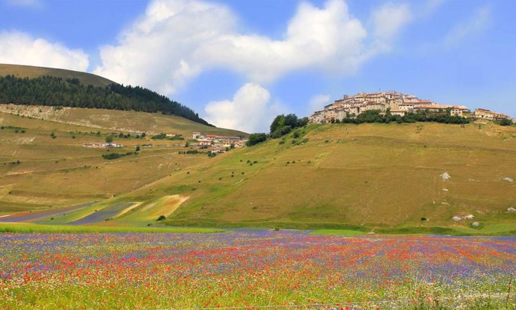 Umbria Castelluccio Norcia