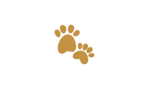 Four Paws